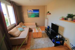 sala de estar con sofá y TV de pantalla plana en Appart calme et lumineux proche Artem et Thermes, en Vandoeuvre-lès-Nancy