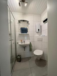 a bathroom with a toilet and a sink at Ferienwohnung Stefan in Wallertheim