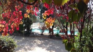 Φωτογραφία από το άλμπουμ του Camping Alquézar σε Alquézar +85 φωτογραφίες