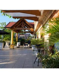 ヴェローナにあるATTIKO 53 Boutique Roomsの木製の傘と植物のあるパティオ