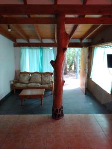 drzewo na środku salonu z kanapą w obiekcie Aldea Hippie w mieście Los Reartes