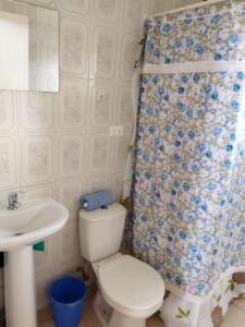 a bathroom with a toilet and a shower curtain at Cabaña Los Lagos in Puerto Montt