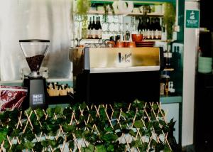 a kitchen with a counter with a blender and plants at Nightcap at Barkly Hotel in Mount Isa