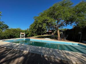 una piscina en un patio con un árbol en el PARAISO en 