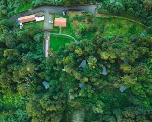 an overhead view of a house in the forest at Caparica Azores Ecolodge in Biscoitos