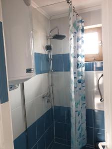 a bathroom with a shower with blue and white tiles at MERAK STD in Vranje