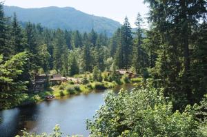 a river in the middle of a forest at Mount Hood Village Premium Yurt 4 in Welches