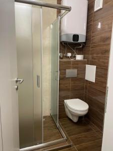 uma casa de banho com um WC e um chuveiro em Titan Centrum Apartman em Nyíregyháza