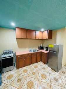 a kitchen with wooden cabinets and stainless steel appliances at Forest View Apartment in Six Huts