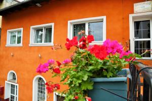 a pot of flowers in front of a building at Gościniec Głuchołazy Zdrój in Głuchołazy
