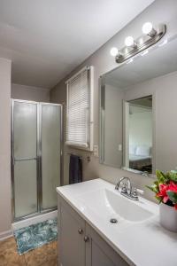 a bathroom with a sink and a mirror and a shower at ~Hot Tub~ in a Quiet Home near UofR/Dwnt/Aiprt/RIT in Rochester