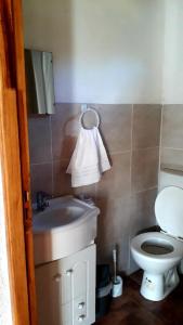 a bathroom with a sink and a toilet at Duplex Luna in Lago Puelo