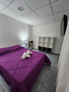 里奧格蘭德的住宿－Tu Espacio，紫色的床,上面放着一只填充的动物