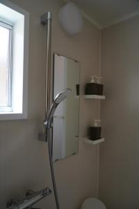 a bathroom with a mirror and a toilet at Sakara Miyazu in Miyazu