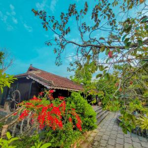 Gallery image of CASA ECO Mekong Homestay in Can Tho