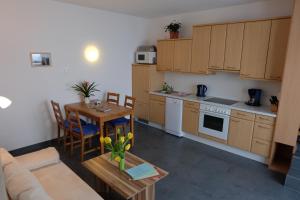 A kitchen or kitchenette at Apart Panoramablick
