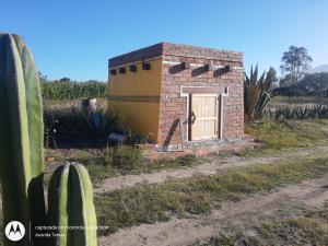 a small brick building in a field with a cactus at Glamping temax 