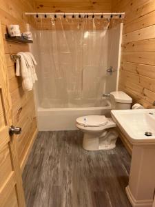 a bathroom with a toilet and a tub and a sink at Presidential Mountain Resort in Bethlehem