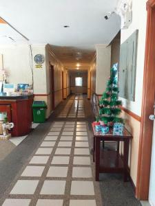a hallway with a christmas tree on a table at MACTAN AIRPORT HILLTOP HOTEL in Mactan