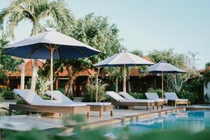 einen Pool mit Sonnenschirmen und Liegestühlen neben einem Pool in der Unterkunft Dini D'Nusa Lembongan in Nusa Lembongan