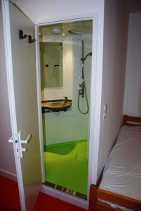 a bathroom with a shower and a sink in a room at LA FONTAINE D'ANNIBAL in Buis-les-Baronnies