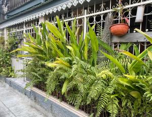 Сад в Hidden Lumpu +16 фотографий