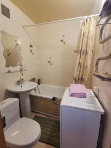 La salle de bains est pourvue de toilettes, d'un lavabo et d'une baignoire. dans l'établissement 1 комн апартаменты в центре рядом с парком, à Kostanay