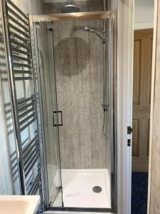 a shower with a glass door in a bathroom at Brynmill Flat in Swansea