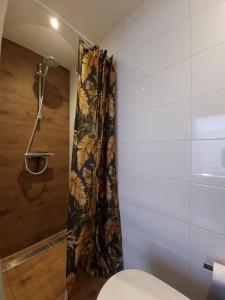 een badkamer met een douche en een toilet. bij Beachhouse ZeeZuid. in Egmond aan Zee