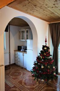 Un árbol de Navidad en medio de una cocina en Holiday Home Kali, en Hočko Pohorje