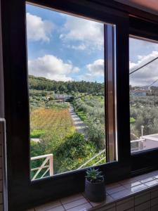 a window in a room with a view of a field at Mati- Cozy apartment- Close to the beach of Almyrida with a shared Pool in Chania