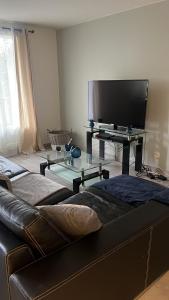 uma sala de estar com um sofá e uma televisão de ecrã plano em Appartement type T3 vaulx la soie em Vaulx-en-Velin