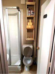 La petite salle de bains est pourvue d'une douche et de toilettes. dans l'établissement Location studio Nord Superdevoluy, à Saint-Étienne-en-Dévoluy