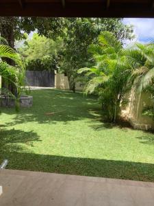 マハラガマにあるGREEN Palaceの緑草やヤシの木が植えられた庭