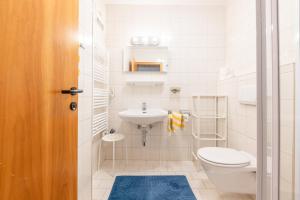 La petite salle de bains est pourvue de toilettes et d'un lavabo. dans l'établissement Ferienwohnung Scheibe, à Neustift im Stubaital