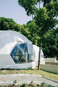 a dome house in a park with a tree at lakescape hotsprings dome glamping in Lubo