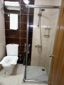 La salle de bains est pourvue de toilettes et d'une douche en verre. dans l'établissement Grand Dilara Hotel, à Istanbul