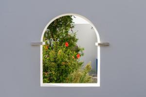 uma janela em arco com um arbusto de flores à frente em Change The World - Herdade Monte do Peral em Montes Juntos