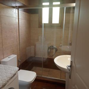 ein Bad mit einer Dusche, einem WC und einem Waschbecken in der Unterkunft Armiriki Apartments in Korakokhórion