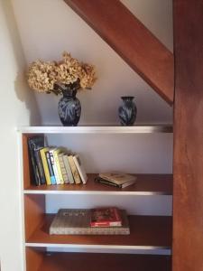 a book shelf with two vases and books at Maison Kobold XVIè siècle in Wissembourg