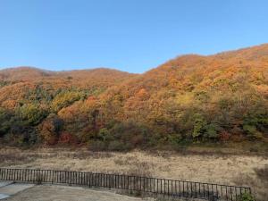 度假屋周边自然景观
