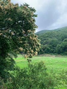 度假屋周边自然景观