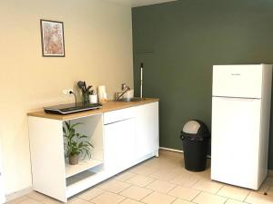 uma cozinha com um balcão, um lavatório e um frigorífico em écrin de verdure au cœur de Jarny App Ethan em Jarny