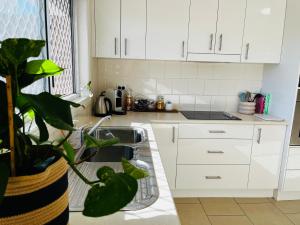 una cucina con armadi bianchi e un lavandino con una pianta di Downtown Narrabri a Narrabri