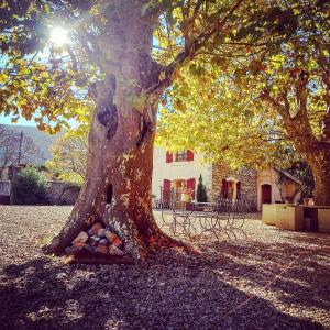 Ein Baum mit einem Haufen Steine darunter. in der Unterkunft Relais de Laval in Caudiès-de-Fenouillèdes