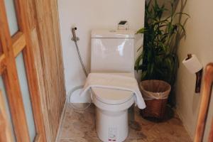 ein weißes WC im Bad mit Pflanze in der Unterkunft บ้านนาก๋างโต้ง Baan Na Kang Tong in Ban Kot