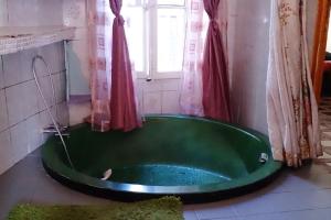 uma banheira verde na casa de banho com uma janela em Appartement de 2 chambres avec vue sur la ville et wifi a Marseille a 4 km de la plage em Marselha