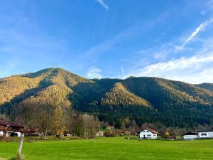 a green field with a mountain in the background at FeWo Flair in Rottach-Egern