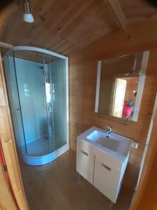 uma casa de banho com um chuveiro, um lavatório e um espelho. em KITOKO L'HERAULT gite close to SALAGOU Lake em Clermont-lʼHérault