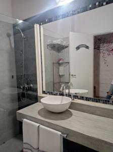 ein Bad mit einem Waschbecken und einer Dusche in der Unterkunft Hermosa casa con parque in Cordoba